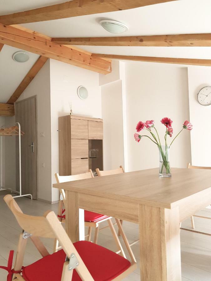 Apartament Prenocisca Rusjan Rence Zewnętrze zdjęcie